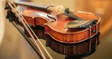 Why Are High-Quality Violins Essential for Musicians?