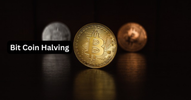 Bit Coin Halving