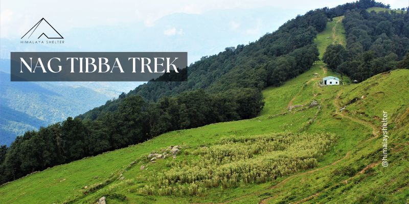 Nag tibba trek with Himalaya Shelter