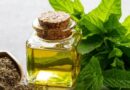 peppermint oil supplier