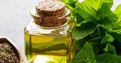 peppermint oil supplier