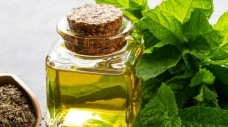 peppermint oil supplier