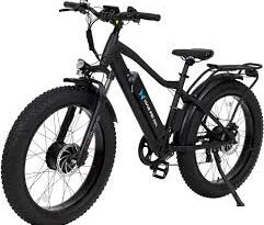 Adult Electric Bike