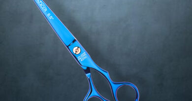 professional Scissors