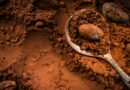 Alkalized Dark Brown Cocoa Powder: The Perfect Ingredient for Rich Flavours and Smooth Textures