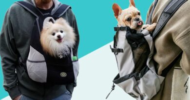 dogcarriers