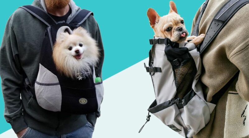 dogcarriers