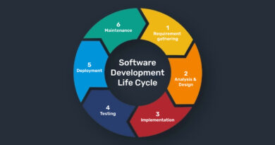 software development