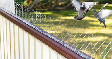 Bird Spikes: An Essential for Dubai Properties