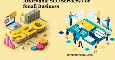 Affordable SEO Services For Small Business