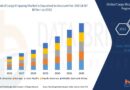 Cargo Shipping Market