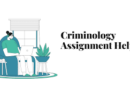 Criminology Assignment Help: Your Key to Academic Success