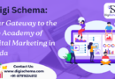 image shows Digi Schema: Your Gateway to the Top Academy of Digital Marketing in Noida and Digi Schema logo and contact details