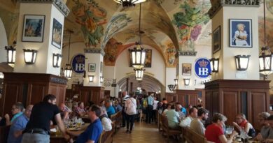 Discovering Hofbräuhaus