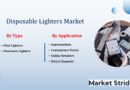 Disposable Lighters Market Analysis and Forecast 2025-2033: Trends and Growth Opportunities