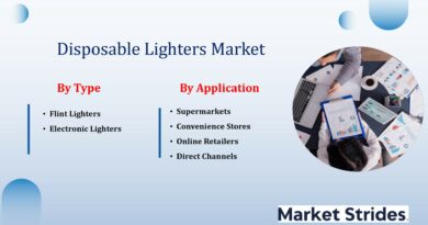 Disposable Lighters Market Analysis and Forecast 2025-2033: Trends and Growth Opportunities