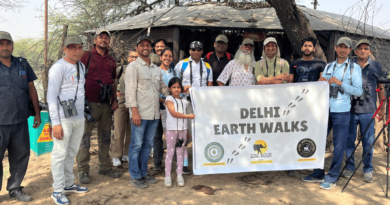 Embark on an Inspiring Journey with Earth Walks