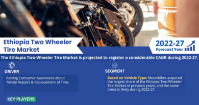 Ethiopia Two Wheeler Tire Market Growth Dynamics: Size, Share, and Trend Analysis Report