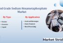 Key Food Grade Sodium Hexametaphosphate Market Industry Trends and Projections for Growth Through 2033