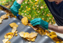 gutter cleaning services