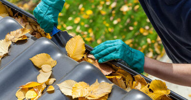 gutter cleaning services