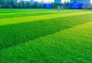 How Do I Find A Reliable Artificial Turf Hire Company In Australia