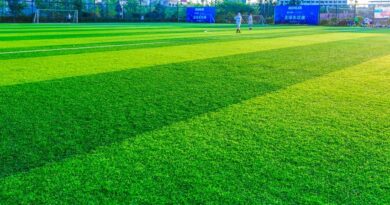 How Do I Find A Reliable Artificial Turf Hire Company In Australia