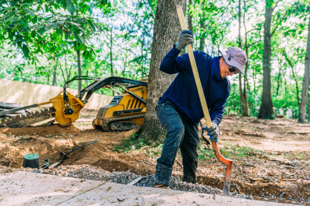 Landscape Gardener