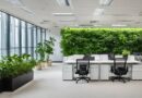 Office Greenery Design Services in Pune | Interioforest