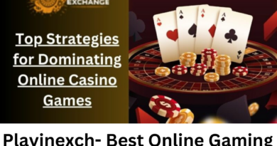 Playinexch- Best Online Gaming Platform in 2025