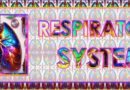 Respiratory System