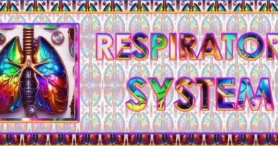 Respiratory System