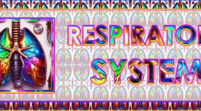 Respiratory System