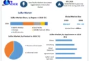 Future of the Sulfur Market: Comprehensive Forecast and Industry Analysis (2024-2030)