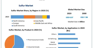 Future of the Sulfur Market: Comprehensive Forecast and Industry Analysis (2024-2030)