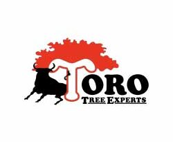 Toro Tree Experts: Your Trusted Partner for Tree Care in Baton Rouge