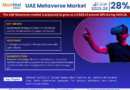 UAE Metaverse Market Growth Dynamics: Size, Share, and Trend Analysis Report