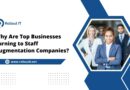 Staff Augmentation Companies