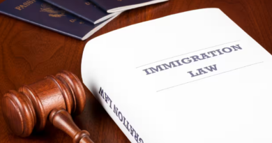 best immigration lawyer for asylum