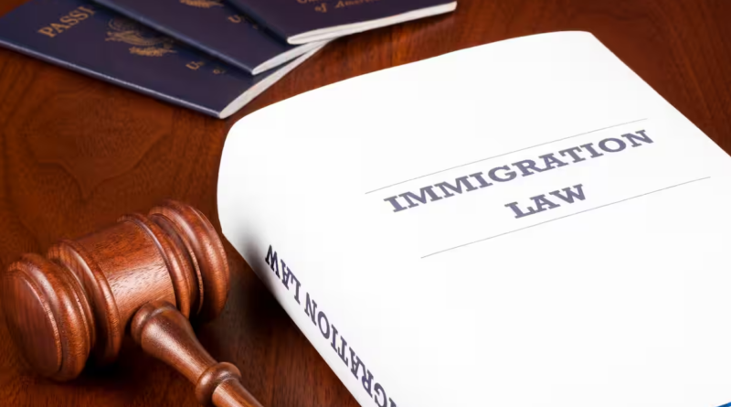 best immigration lawyer for asylum