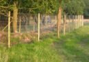 Dorset agricultural fencing