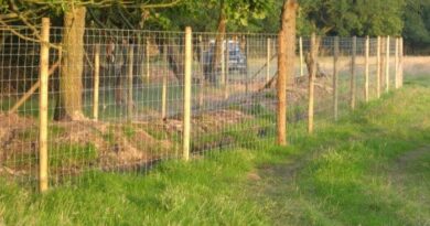 Dorset agricultural fencing