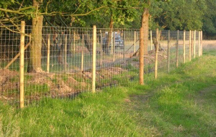 Dorset agricultural fencing