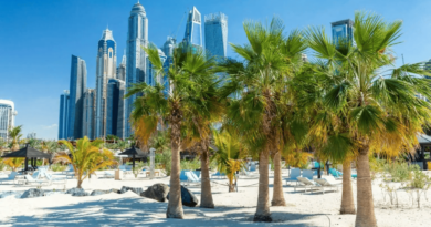 Experience the Best of Urban Living: A Guide to Life in Dubai