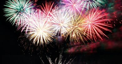 Find the BEST “Firework Shop Near Me” for Your Celebrations