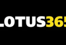 Lotus365: Redefining Business Efficiency with a Comprehensive Cloud Solution