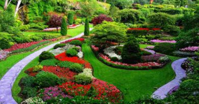 A vibrant garden filled with various flowers and trees, featuring the picturesque Butchart Gardens in the background.