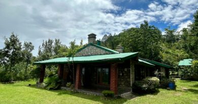 Renz Himalayan Retreat: Your Gateway to Tranquility