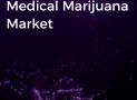 Analyzing the Medical Marijuana Market: Trends, Growth Factors, and Insights