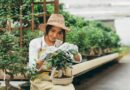 Online Gardening For Beginners